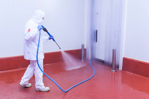 Best Roof Washing  in Park Layne, OH